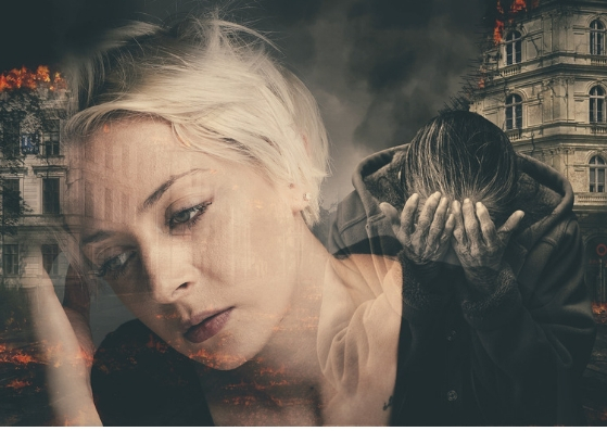 dearest ally –(14)
